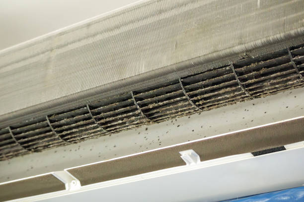 Best Local Air Duct Cleaning Services  in Brent, AL